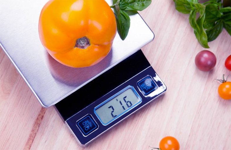 Kitchen Scale Buying Guide