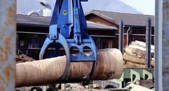 What Are Produced in Sawmills? Basic Things You Should Know